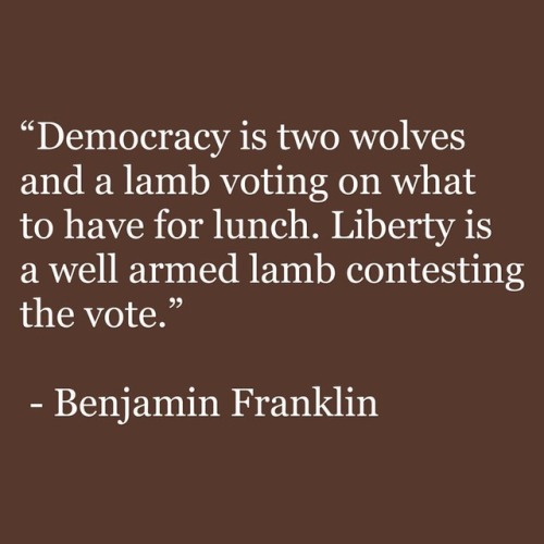 It’s a difficult balancing act⠀⠀#democracy #wolves #lambs #voting #history #arms #benjaminfran