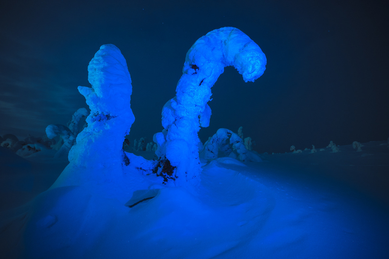 tiinatormanenphotography: Playing with the lights in the winter woods.   2018 Southern