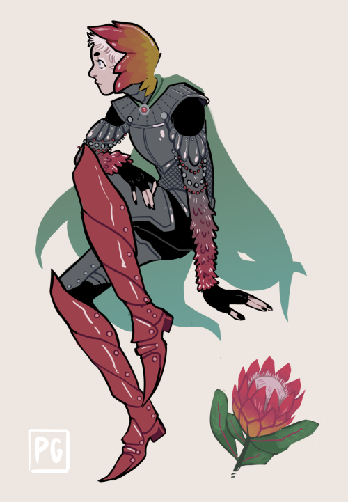 Protea cynaroides  Poppy | Rafflesia | Lycoris | Peony