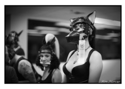 ekhofox:  At DomCon LA’s Pet Show in my