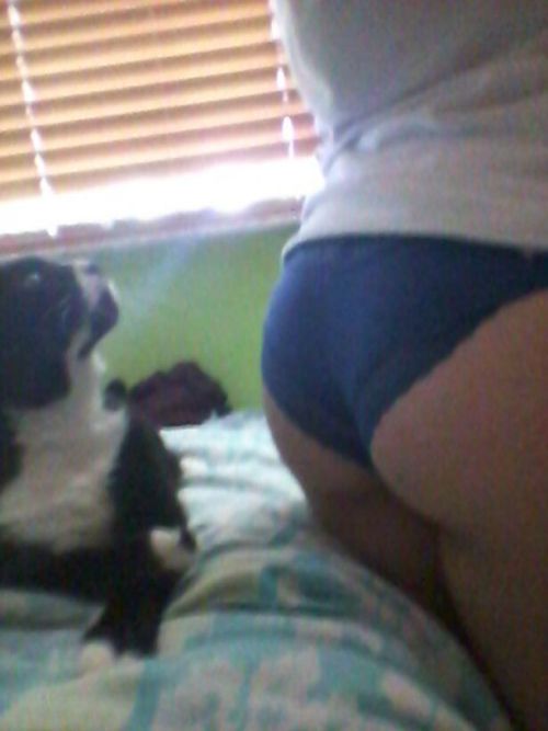 badkittiesbite:  puss n booty 