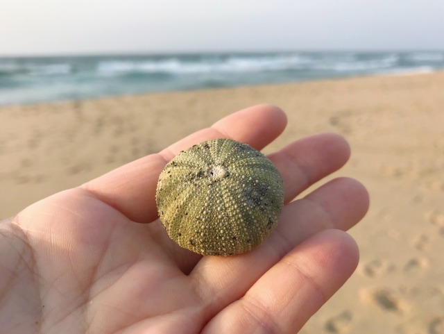 ウニ Explore Tumblr Posts And Blogs Tumgir ウニ Explore Tumblr Posts And Blogs Tumgir