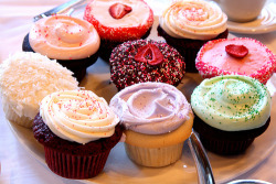 i love cupcakes