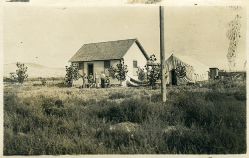 Arley Sims&rsquo; farmhouse near Caldwell, Idaho (c. 1910).