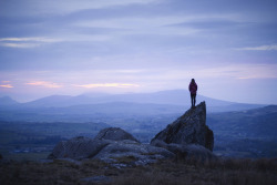 mi-luna-de-queso:    Lizzy Gadd 