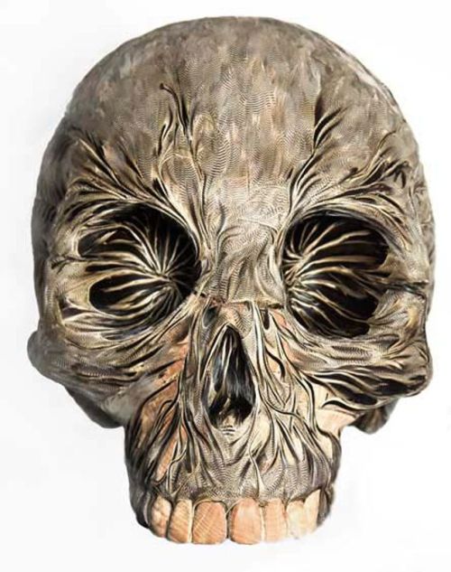 myampgoesto11:  Feather skulls by Laurence Le Constant part of the ‘My Lovely Bones’ series. Images courtesy of Galerie Géraldine Banier My Amp Goes To 11: Twitter | Instagram 
