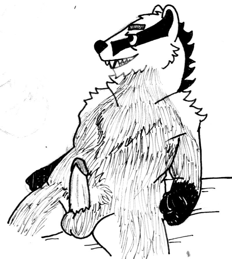 Rule 34 2016 Anthro Badger Balls Bedroom Black Eyes Black Nose Cheek