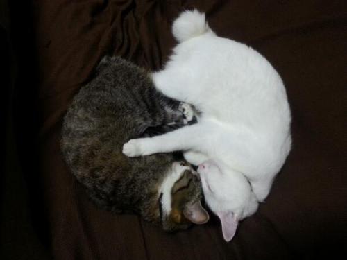 ♡？ムリ？