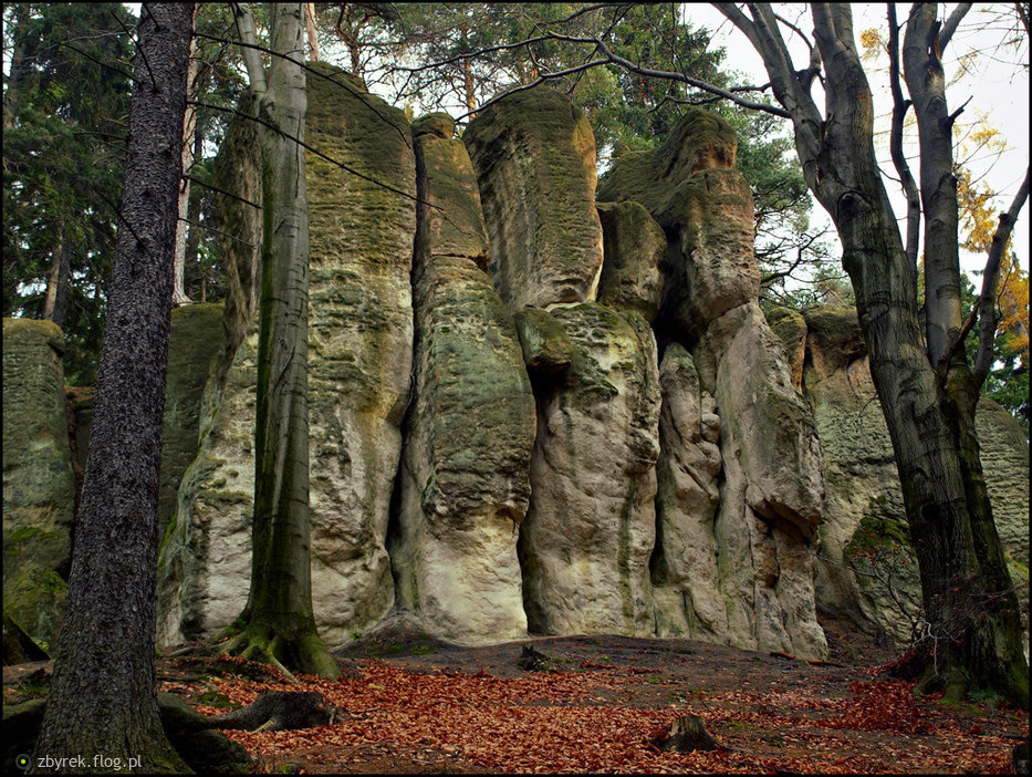 “Głazy Krasnoludków” (Gorzeszowskie Skałki) - The Dwarfs’ Boulders nature reserve in Lower Silesian voivodeship, Poland. Sources of pictures: [1,2,3,4,5]
“ The Gorzeszów Rocks, also known as the Dwarfs’ Boulders, is a fascinating location situated...