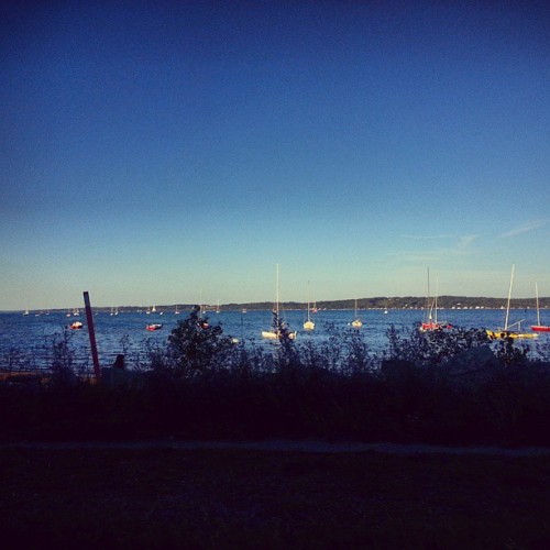 #beautiful #traversecity #michigan #northernmichigan #boats #lakemichigan #travel