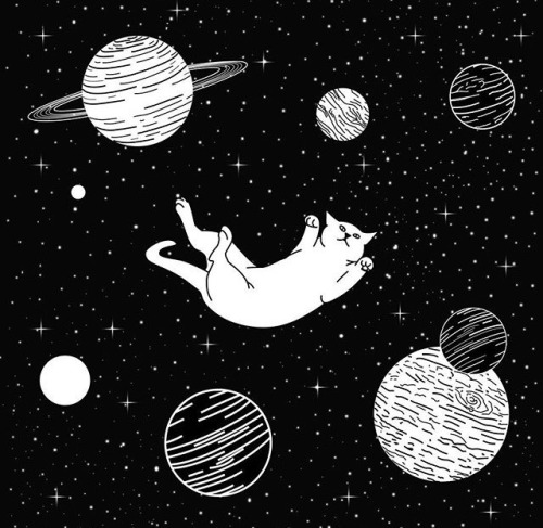 pure-ponderings:✬﻿ space cats ✬﻿credit: @mvtteo.z ~ instagram