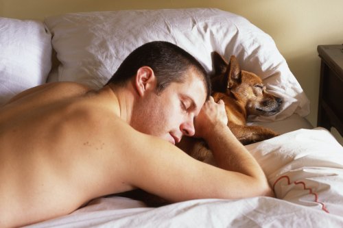 menandtheirdogs:  sexysoldiers:  gnite followers! 