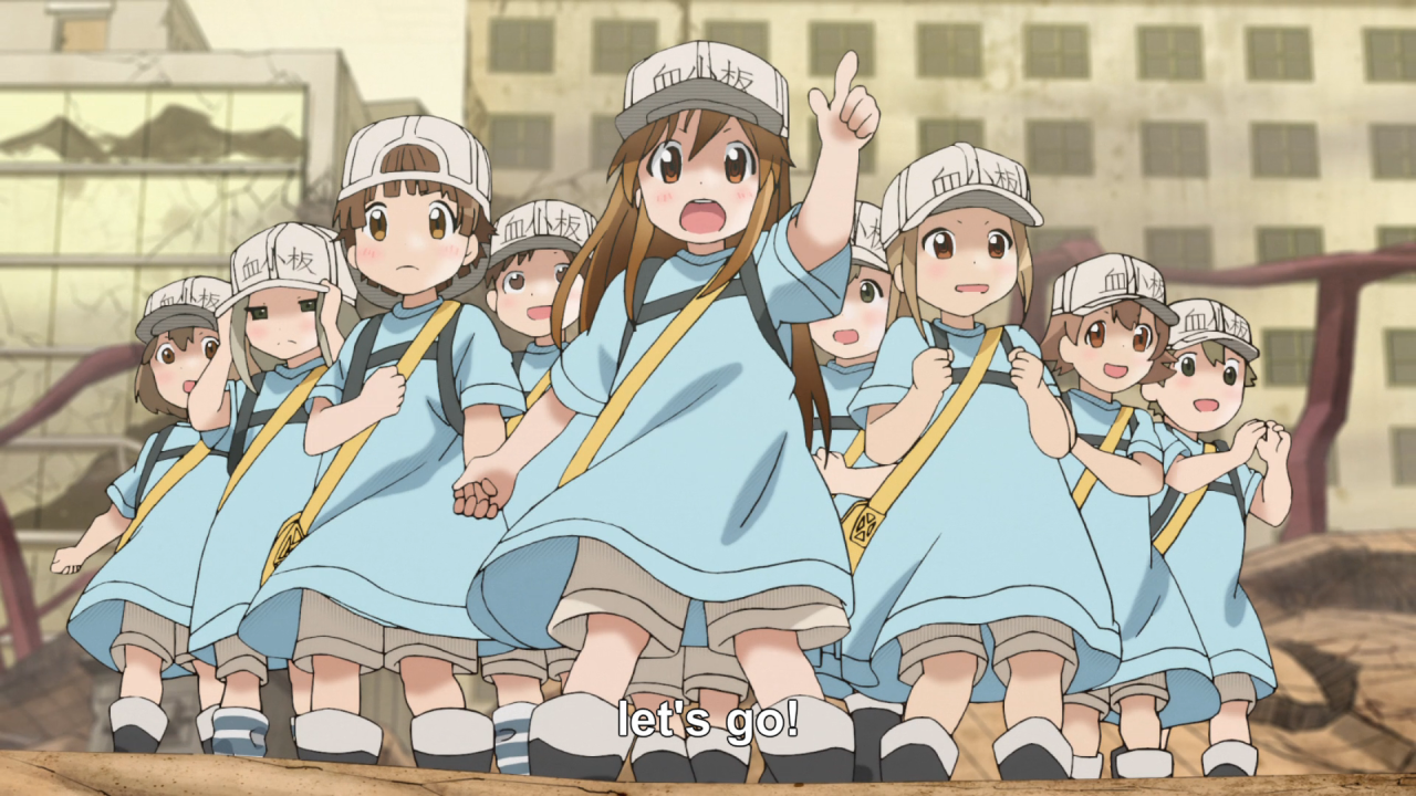 quite the contrast, Hataraku Saibou / Cells at Work!