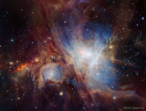 M42 // Orion Nebula