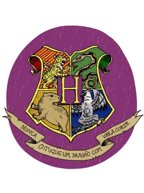 Brazilian Hogwarts “Never poke a dragon with a short stick” The original logo has the fa