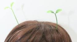 okaywowcool:    sprout hair clip | discount: