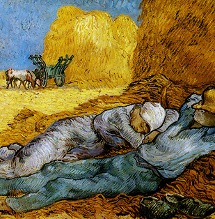 Porn photo logija:  by Vincent van Gogh