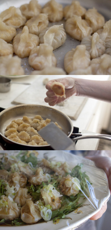 Sex veganinspo:  Golden Potstickers  pictures