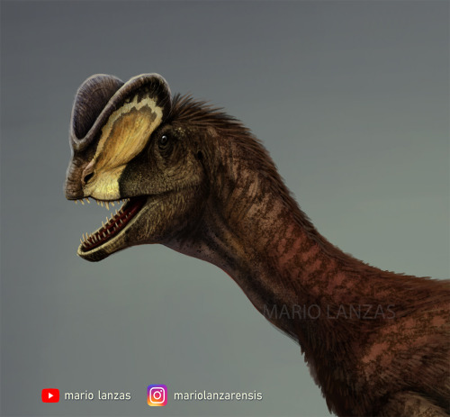 mariolanzas: DILOPHOSAURUS 2020This is my new interpretation of Dilophosaurus, based on the new disc