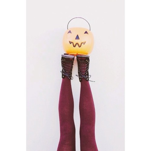 @tabbisocks x @kaylynweir #halloween #trickortreat #pumpkin #merlot #tights #fashionblogger #handsta