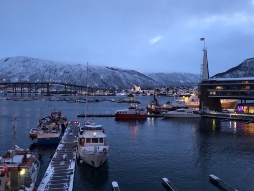 View of the port, including the arctic cathedral