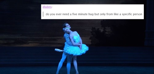 spinmelikeyoumeanit: Swan Lake + text post meme 2016 edition, because it had to be done. Let me