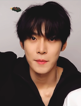 4acf1437cb6a559f0e4440a5bffd73115c35c432.gifv