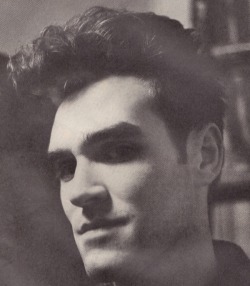 Morrisey