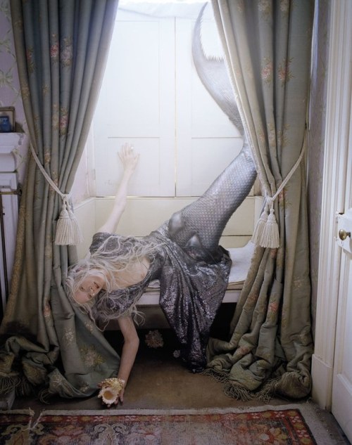 tim walker