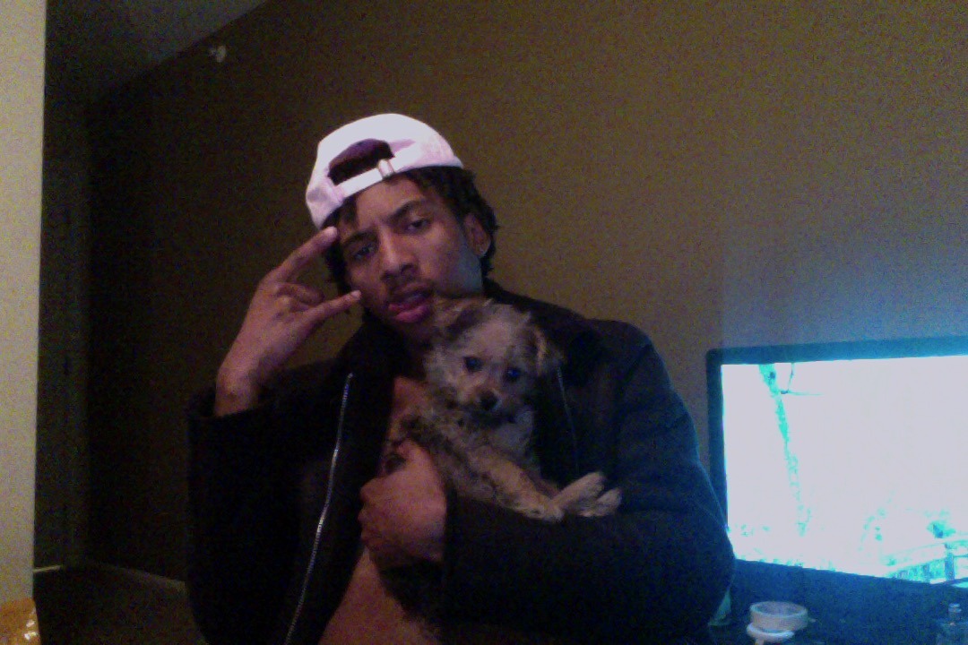 seven and i say hi 