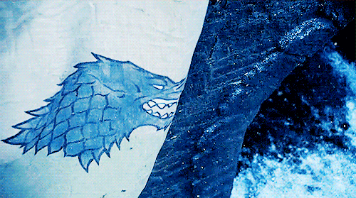 snowbyrdn7:The wolves of the north have returned home