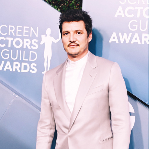 pedrolovebot:it’s so easy to fall in love with men who are:amazing actorsadorablewoke afkingsexc pedro pascal