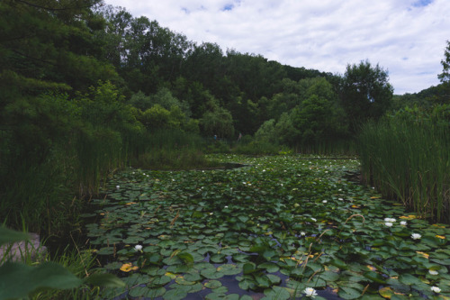 comettravels:Don Valley Brick Works ParkToronto, Canada.