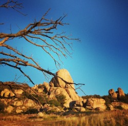 corazonjalisco:  Hiking en El Diente