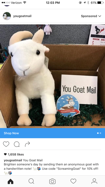ameliastardust:THIS IS THE BEST TARGETED AD I HAVE EVER SEEN  PLEASE SOMEONE SEND ME A GOAT I LOVE THEM SO MUCH OMG LIKE IF I ACTUALLY GOT THIS IN THE MAIL I WOULD CRY I WOULD BE SO HAPPY