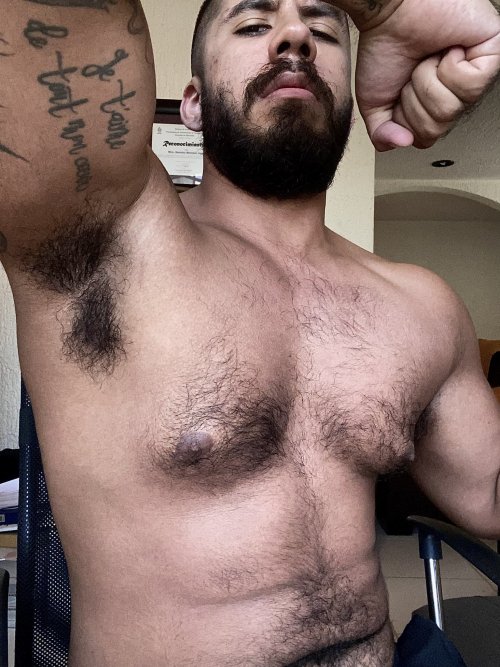 https://hairysweatysmelly.tumblr.com/post/698059801866960896