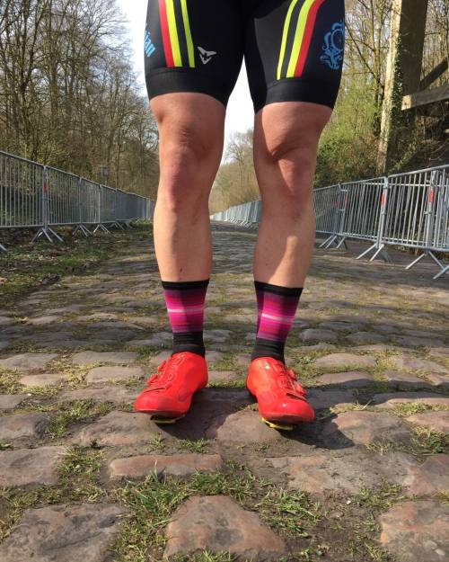 hbstache: TBT to debuting our Pink Wall socks in the Forest of Arenberg ift.tt/1P7p7ut