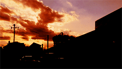 craintheos:shameless + silhouettes 