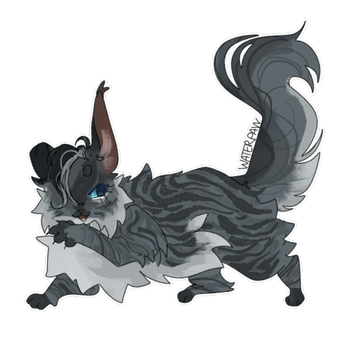 I Dont Even Know If Tumblr Is A Good Site For This But I'm Out Of Options! So: