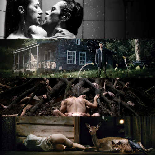 Seeing life through the movies.