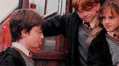 Harry Potter Daily