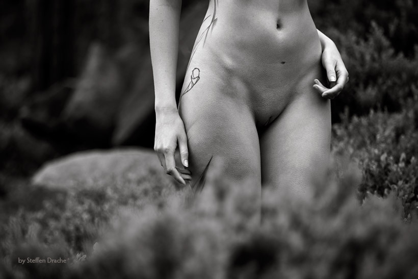 drachenphoto:  two hands
