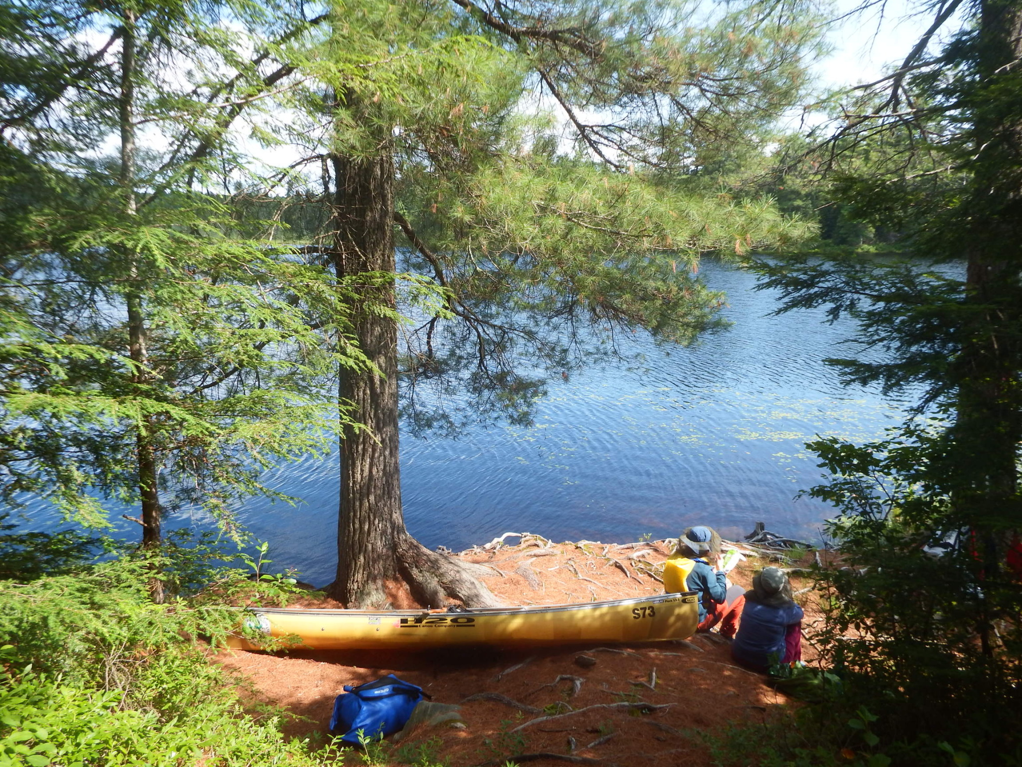 Día 4, tercer día en Algonquin, campamento en la playa de piedra. - 5 días en Algonquin Provincial Park-Canadá (4)