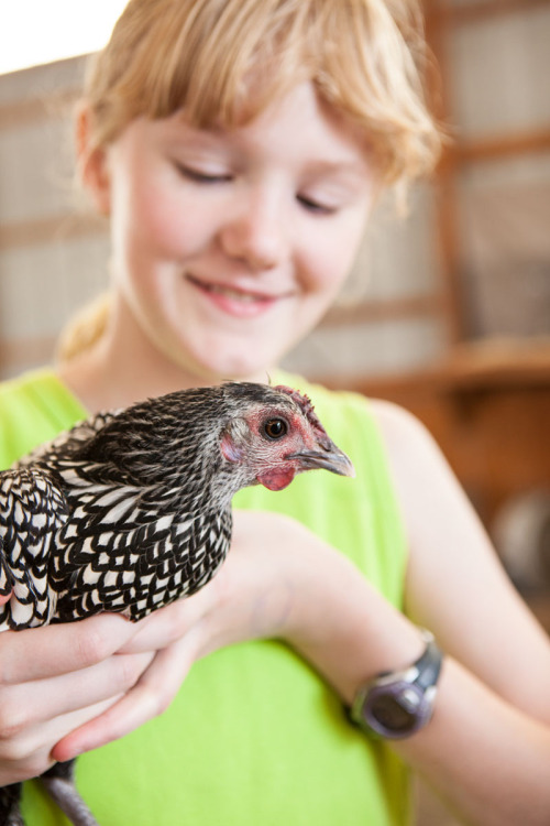 Dutchess County Fair