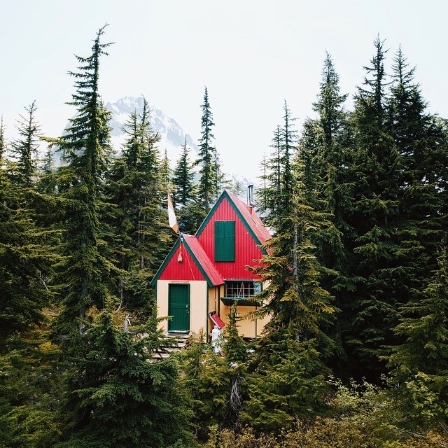 whiskandwhittle:  Source IG @alexstrohl