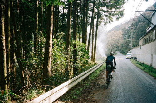 On our way to Nara,April 2017