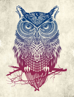 inspirationfeed:  Evening Warrior Owl by
