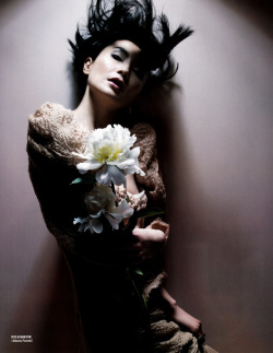 lelaid:Maggie Cheung by Nick Knight for Vogue
