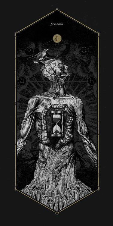 oldladycallowaysghost:  Mimetica’s really beautifully unnerving “Anatomy of Sin”:“fig 1. Luxuria The goat, present throughout history and different cultures, always associated with lust, impurity and sin, crowns a human skeleton in this portrayal