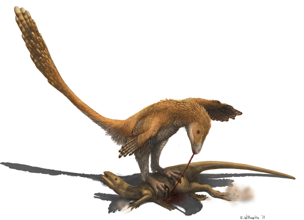 A Dinosaur A Day — Deinonychus antirrhopus